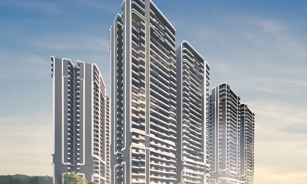 2024-11-20_12-08-58_onedxpbannermob